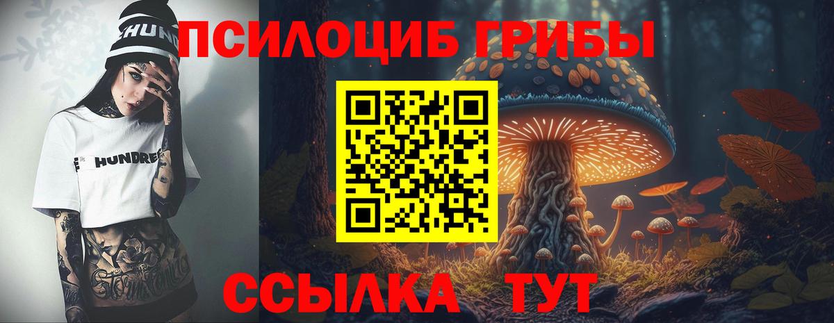Грозный  Псилоцибиновые грибы MAGIC MUSHROOMS  наркота  Вход с VPN 